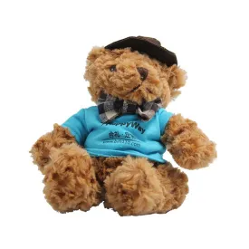 20cm Teddy Bear Plush Toy With T-Shirt And Hat