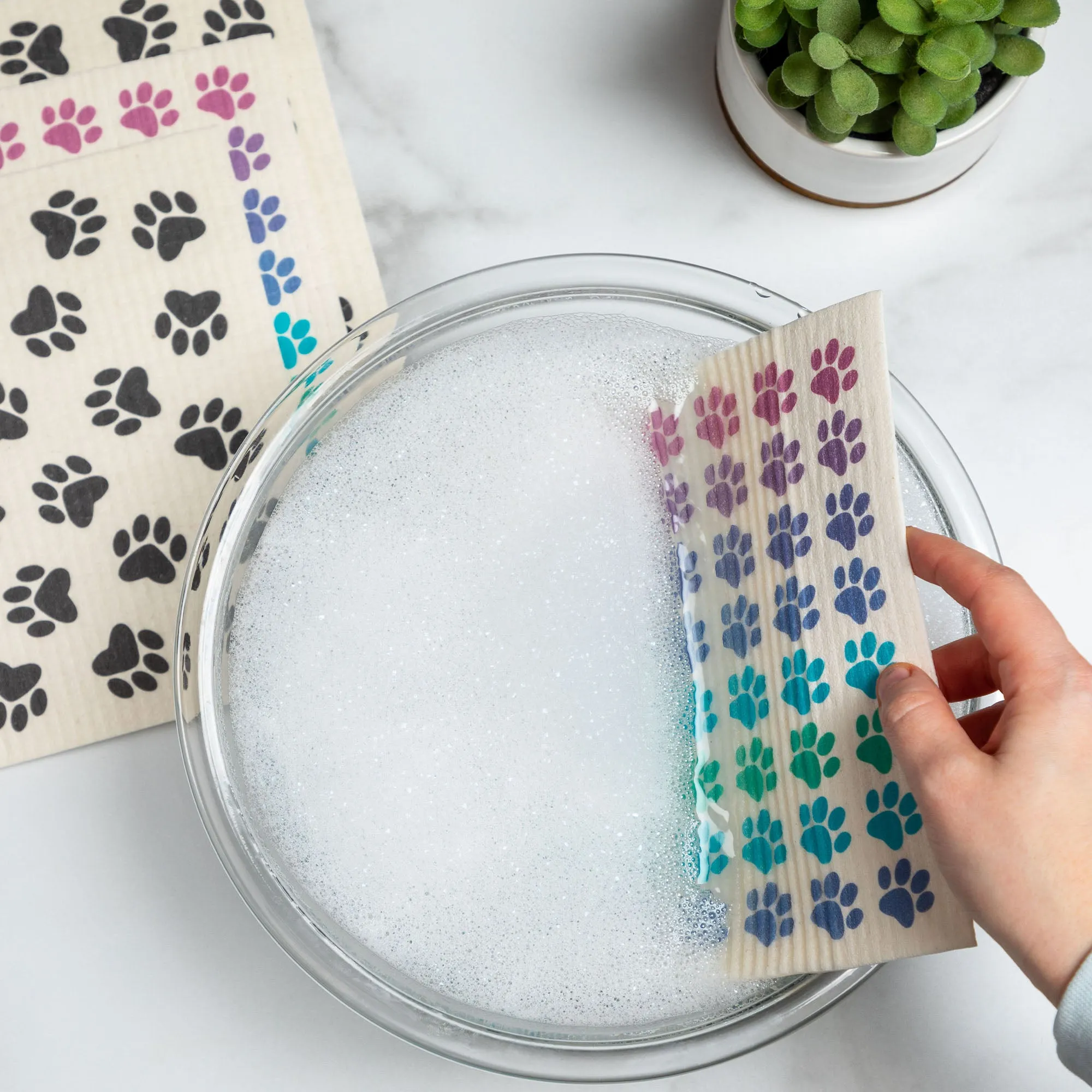 All Over Paws Biodegradable Dishcloth - Set of 4