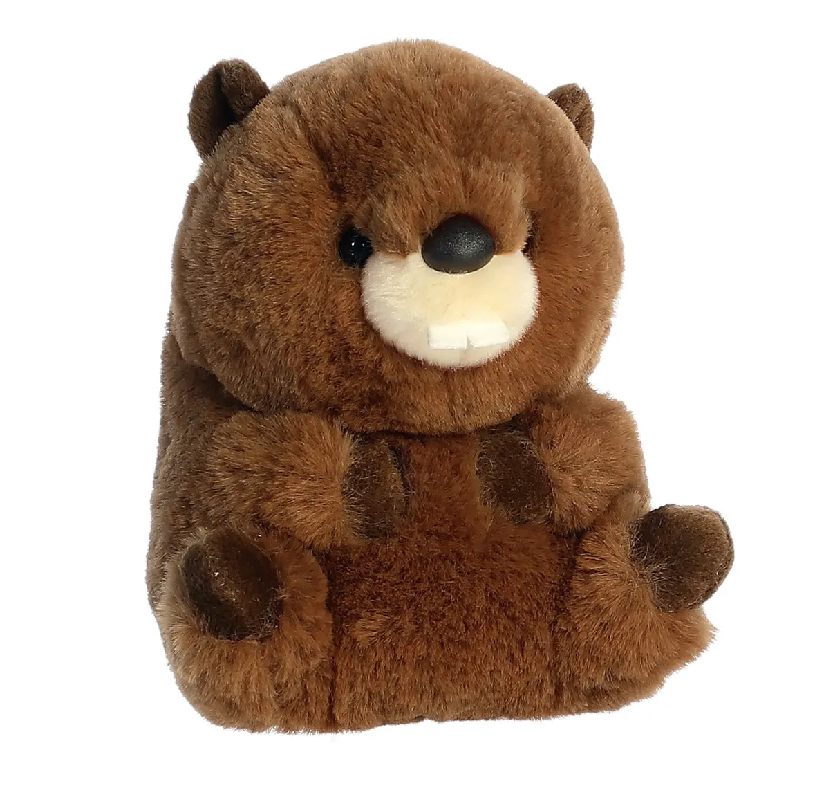 Beethoven Beaver Stuffy