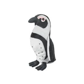 BLACK-FOOTED PENGUIN - MEDIUM