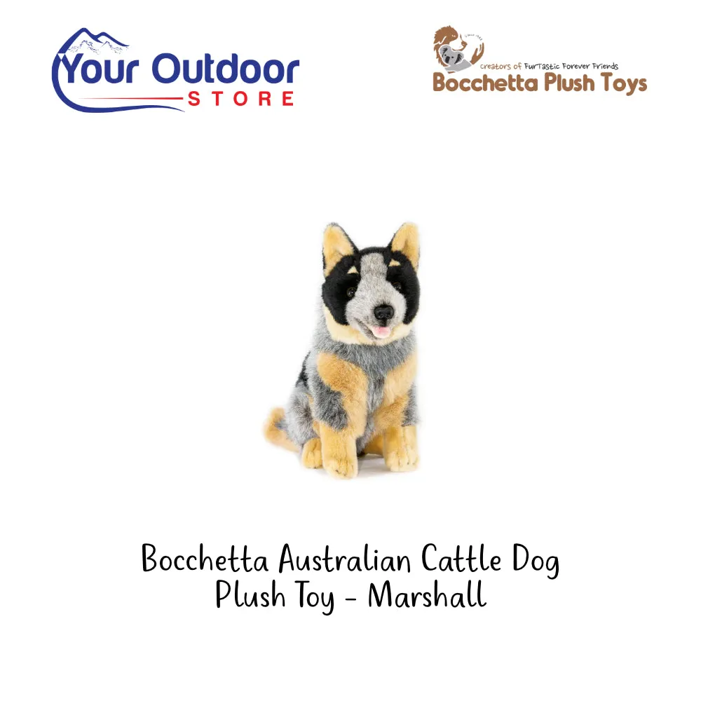 Bocchetta Cattle Dog Plush Toy- Marshall