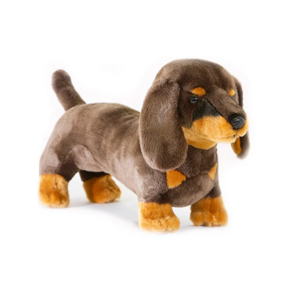 Bocchetta Dachshund Plush Toy- Stretch