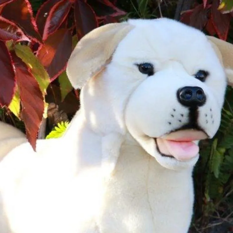 Bocchetta Labrador Plush Toy  - Beau