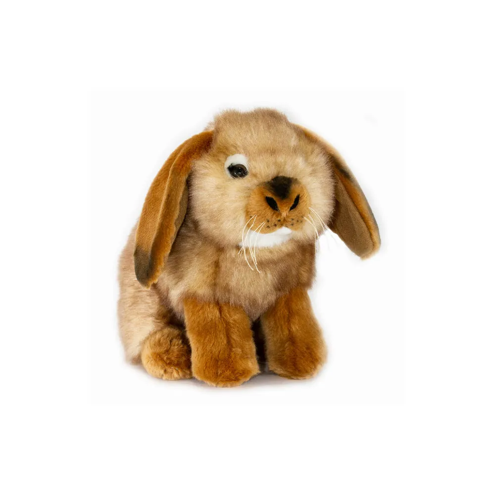 Bocchetta Lop Eared Rabbit - Cinnamon