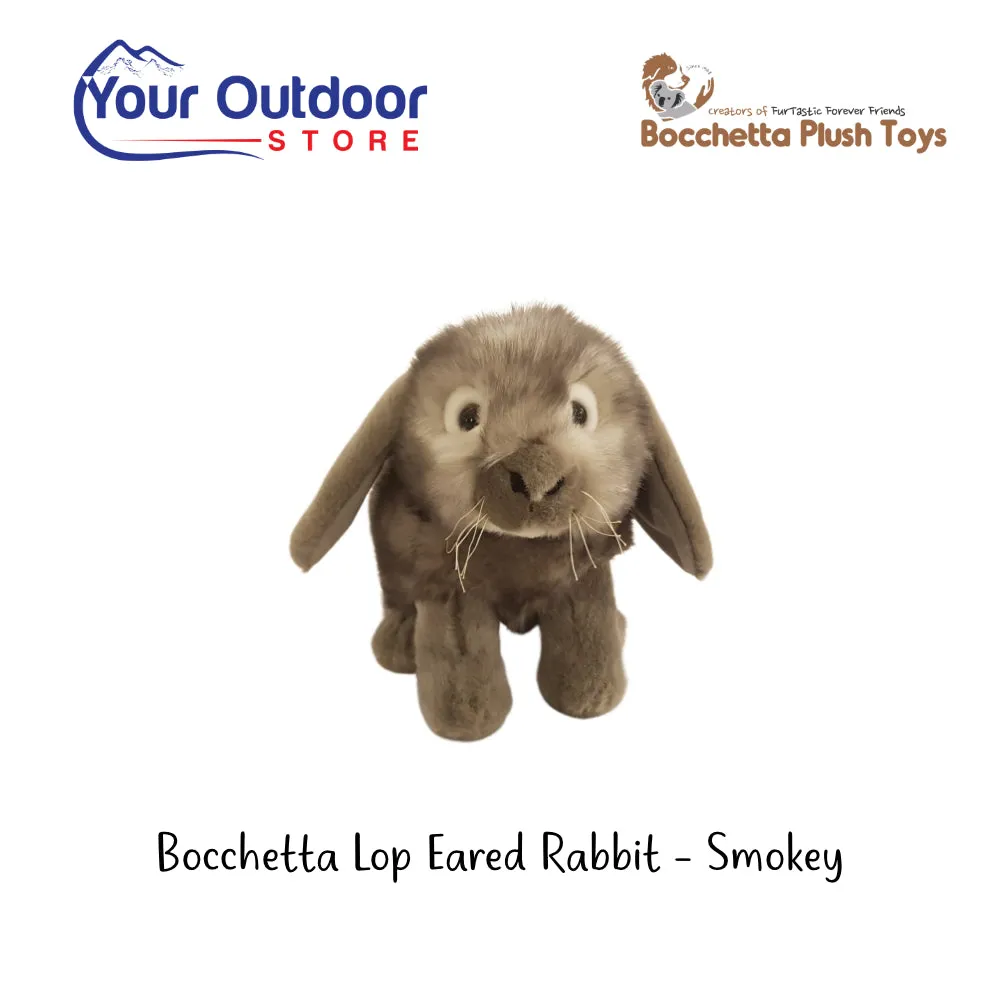 Bocchetta Lop Eared Rabbit - Smokey