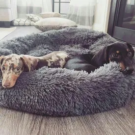 Dach Everywhere™ Cozy Cuddler Bed