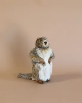 Groundhog Baby Stuffed Animal