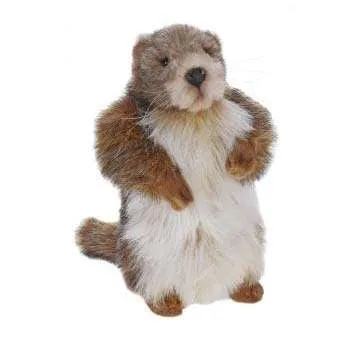 Groundhog Baby Stuffed Animal