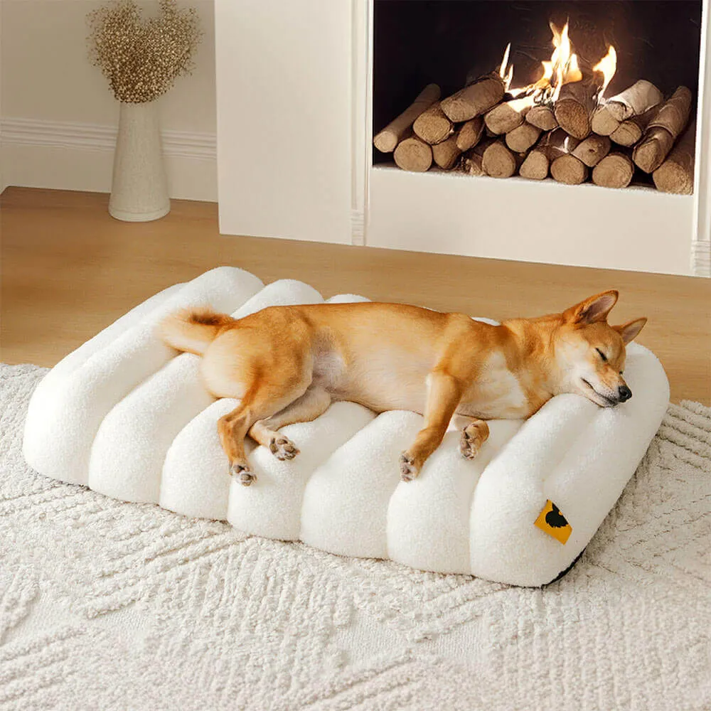 Large Washable Creamy Cozy Flat Dog Beds - Cheesecake