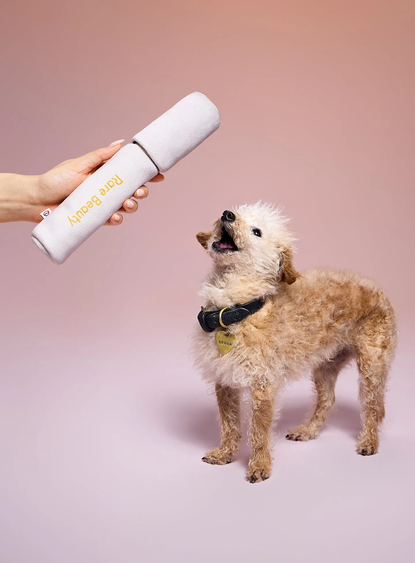 Pawfect Strokes Mascara Dog Toy